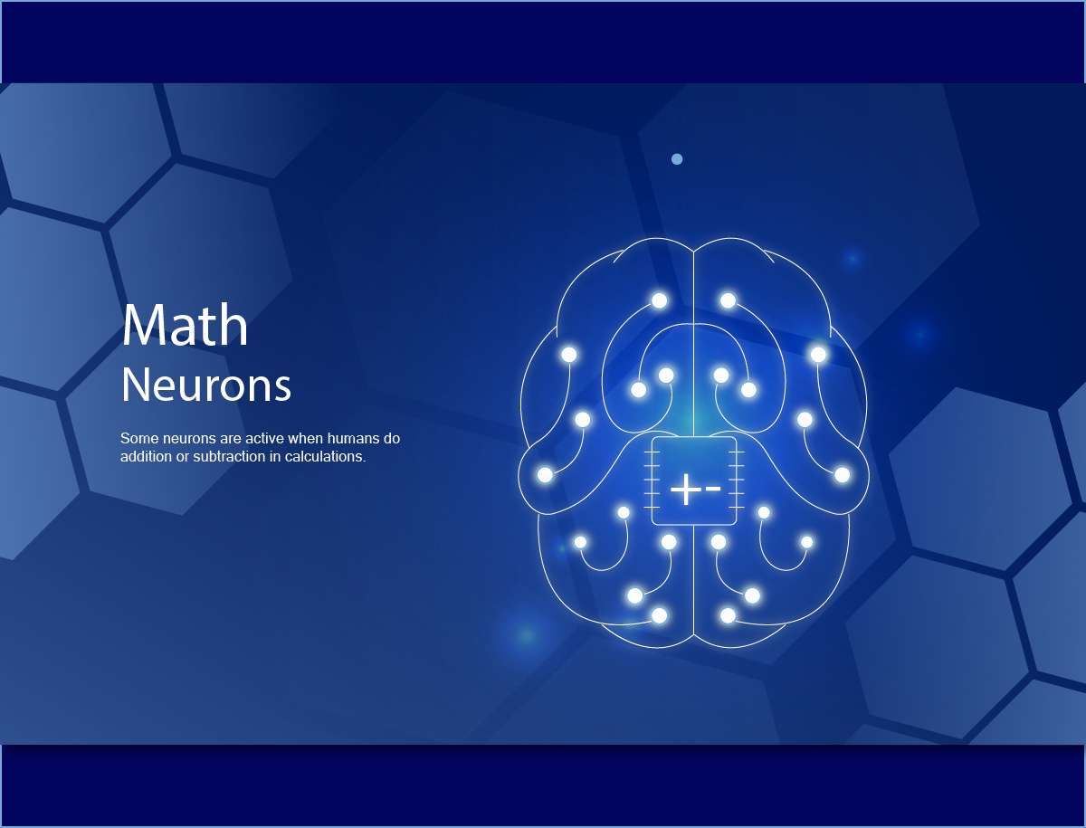 MathNeuron